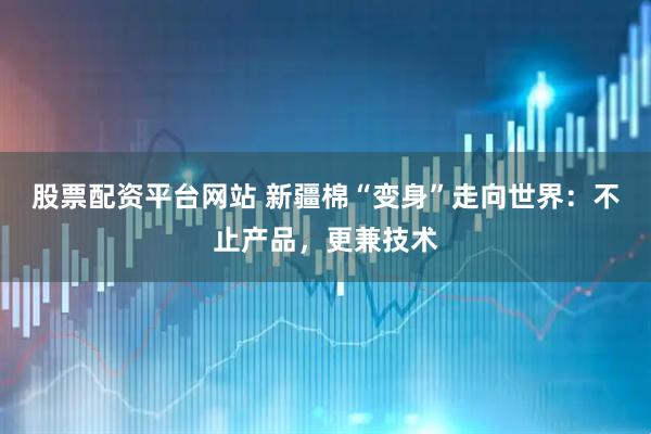 股票配资平台网站 新疆棉“变身”走向世界：不止产品，更兼技术