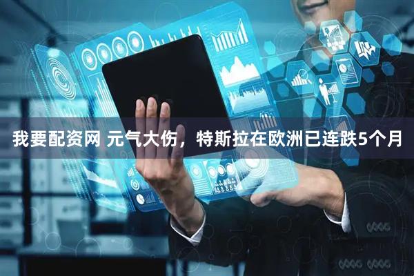 我要配资网 元气大伤，特斯拉在欧洲已连跌5个月